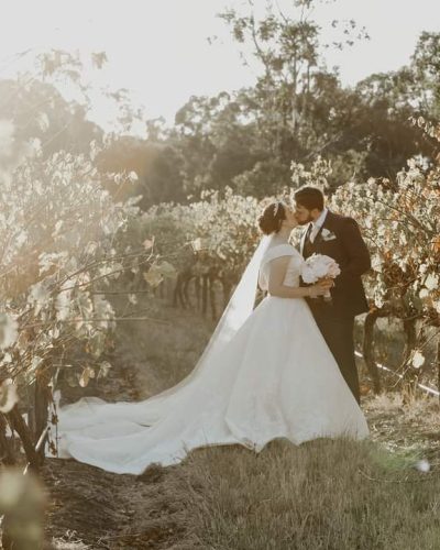 Bride and Groom amoungst Oxenberry's vineyards, mclaren vale wedding venue